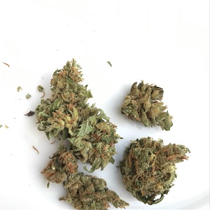 Order Azura Haze Online