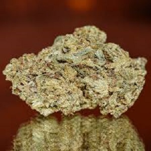 Buy Candy Cane Online Buy Candy Cane Online