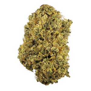 Buy Durban Poison Online Buy Durban Poison Online
