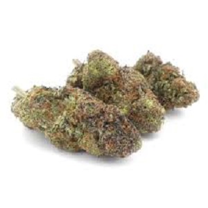 Buy Early Vixen Weed Online Buy Early Vixen Weed Online