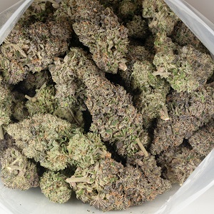 Buy Gelato Strains Online Buy Gelato Strains Online
