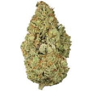 Buy Hash Plant For Online Buy Hash Plant For Online