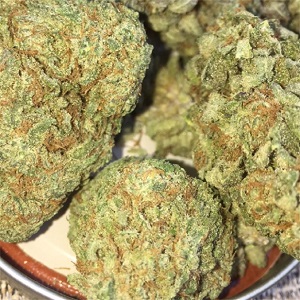 Pineapple Express For Sale